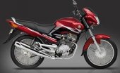 2007 Yamaha Gladiator photo